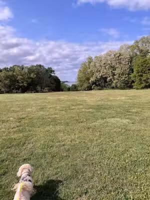 Coindre Hall Dog Park - Huntington, NY