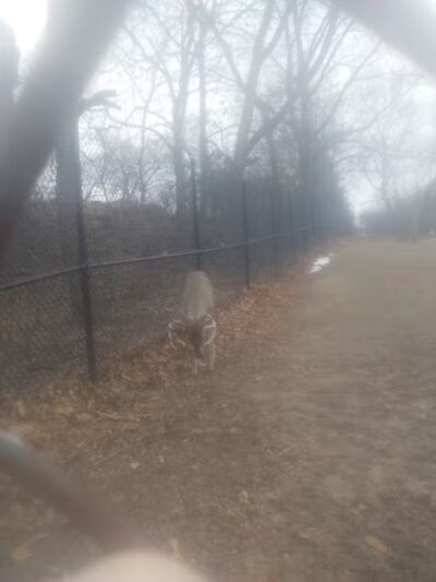 Scotia Park - Huntington Woods,