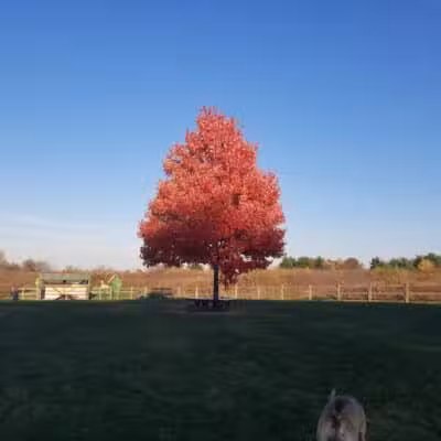 Erie Metro Bark Park - Huron, OH - Huron,