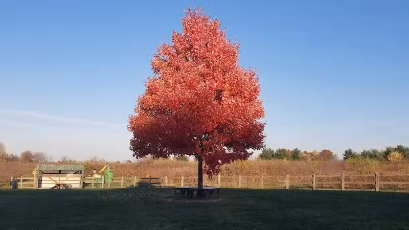 Erie Metro Bark Park - Huron, OH - Huron,