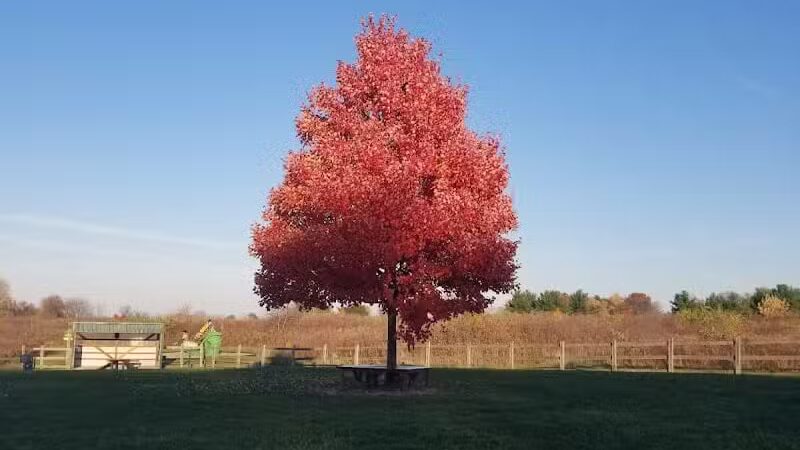 Erie Metro Bark Park - Huron, OH - Huron,