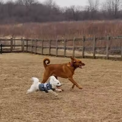 Erie Metro Bark Park - Huron, OH - Huron,