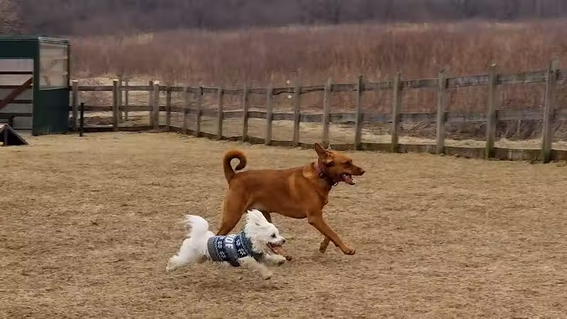 Erie Metro Bark Park - Huron, OH - Huron,