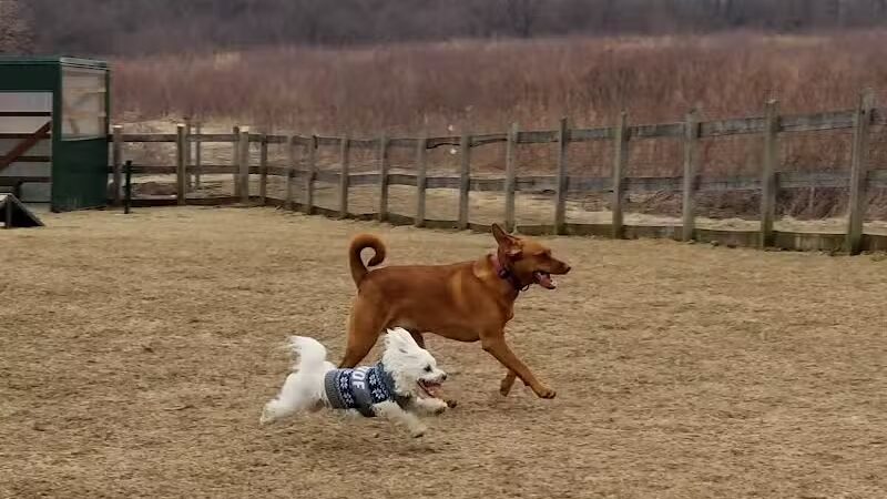 Erie Metro Bark Park - Huron, OH - Huron,