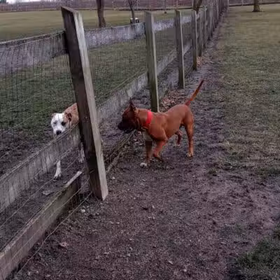 Erie Metro Bark Park - Huron, OH - Huron,