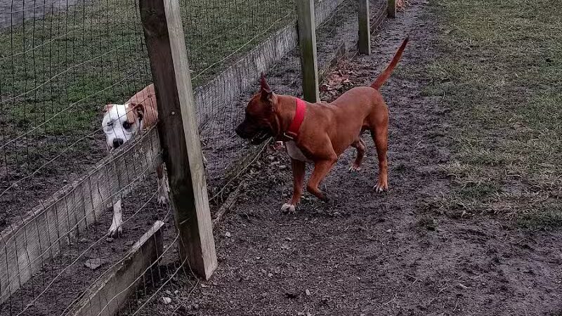 Erie Metro Bark Park - Huron, OH - Huron,