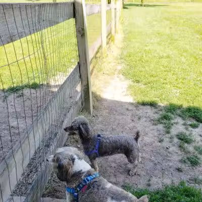 Erie Metro Bark Park - Huron, OH - Huron,