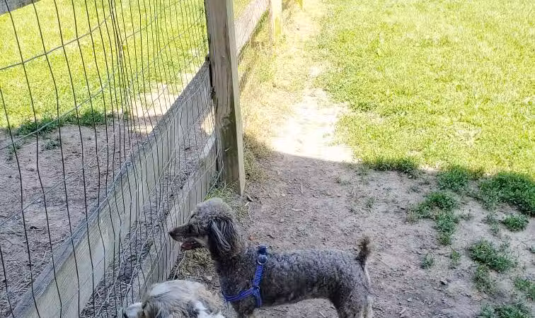 Erie Metro Bark Park - Huron, OH - Huron,