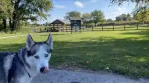 Erie Metro Bark Park - Huron, OH - Huron,