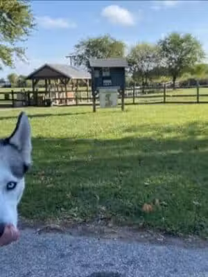 Erie Metro Bark Park - Huron, OH - Huron,