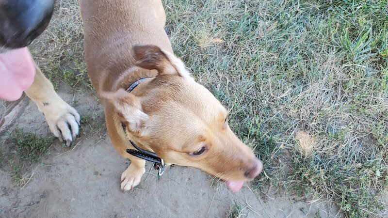 Erie Metro Bark Park - Huron, OH - Huron, OH