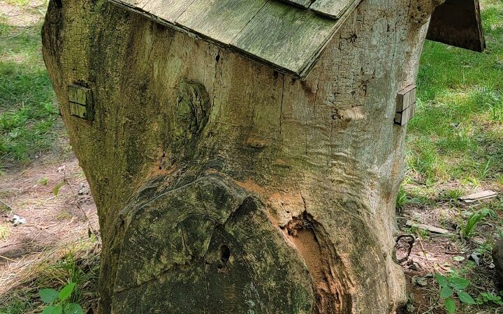 Erie Metro Bark Park - Huron, OH - Huron, OH