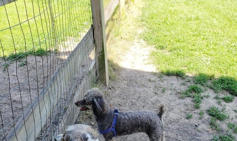 Erie Metro Bark Park - Huron, OH - Huron, OH