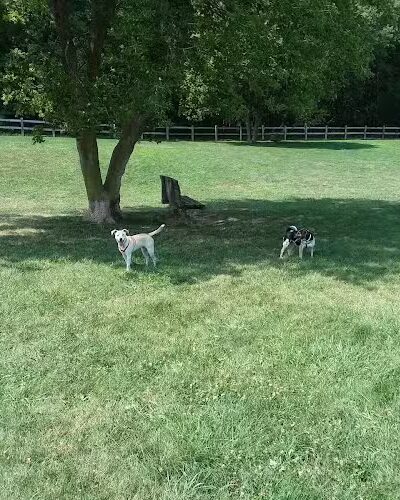 Erie Metro Bark Park - Huron, OH - Huron, OH