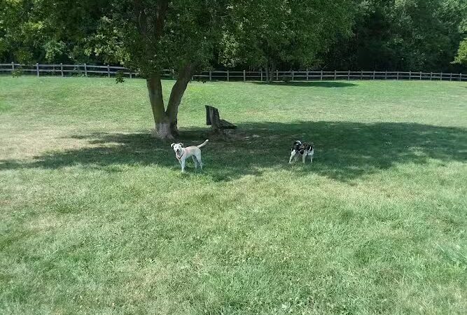 Erie Metro Bark Park - Huron, OH - Huron, OH