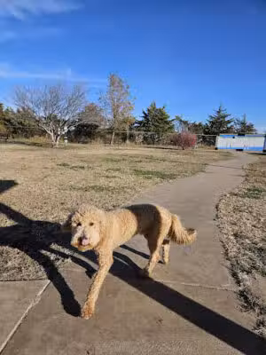 Hutchinson Dog Park - Hutchinson, KS