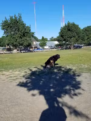 Heurich Dog Park - Hyattsville, MD