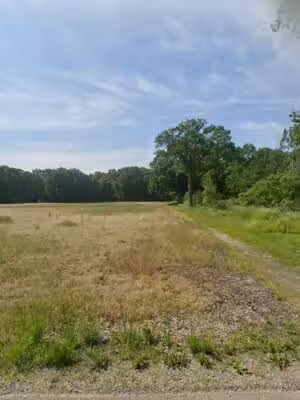 Doggie Play Zone - Ida,