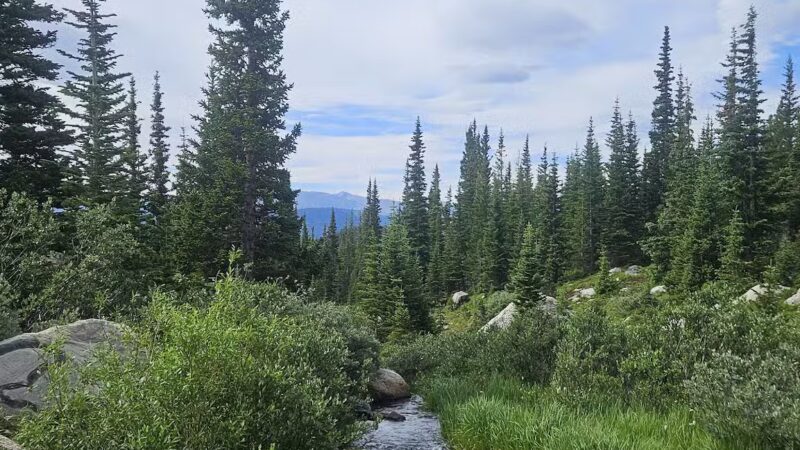 Loch Lomond Trailhead - Idaho Springs, CO