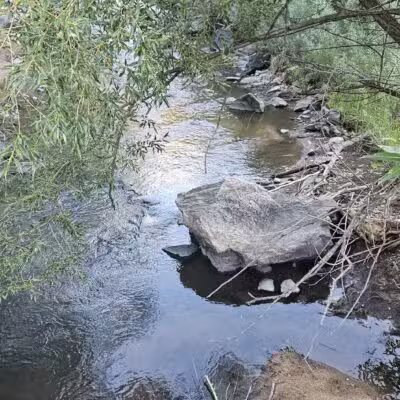Lair o’ the Bear Park - Idledale, CO