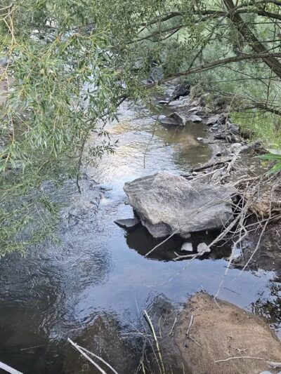 Lair o’ the Bear Park - Idledale, CO