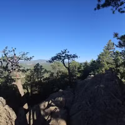 Lair o’ the Bear Park - Idledale, CO