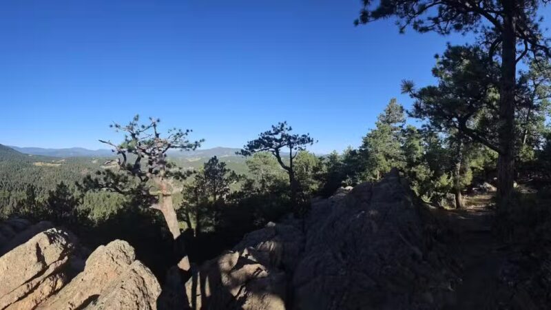 Lair o’ the Bear Park - Idledale, CO