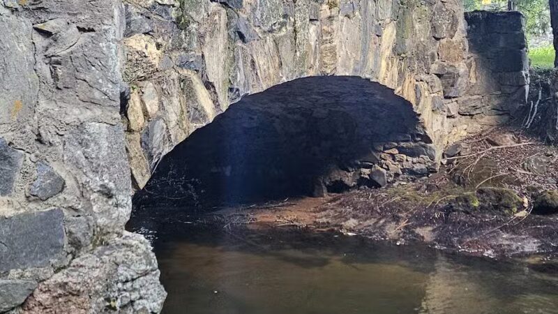 Lair o’ the Bear Park - Idledale, CO