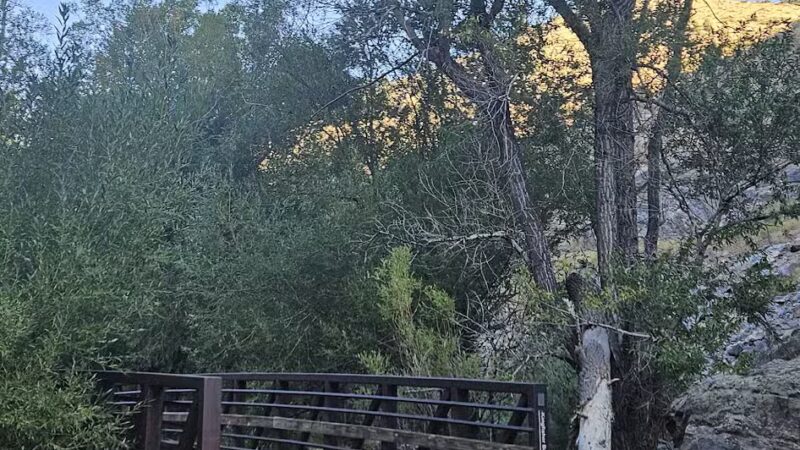 Lair o’ the Bear Park - Idledale, CO