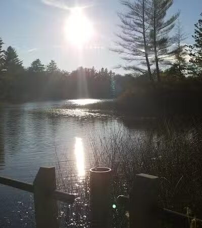 Idlewild access park - Idlewild,