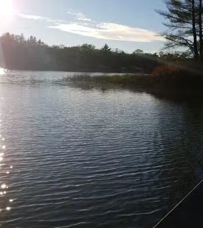 Idlewild access park - Idlewild,