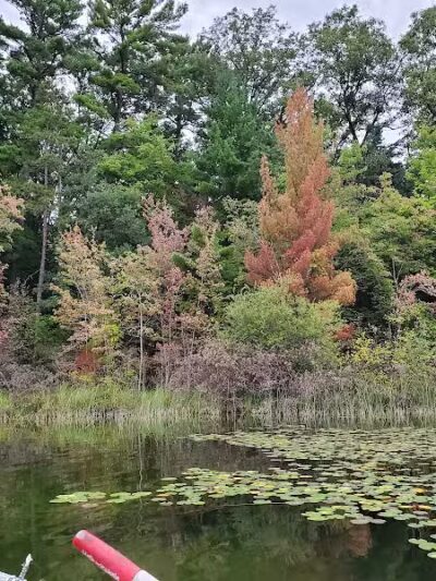 Idlewild Beach - Idlewild,