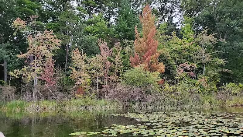 Idlewild Beach - Idlewild,