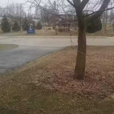 Rotary Park - Imlay City,