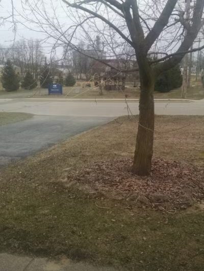 Rotary Park - Imlay City,