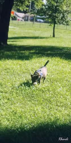 Pitcher Dog Park - Independence, MO