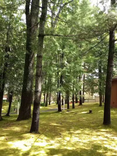 Burt Lake State Park - Indian River,