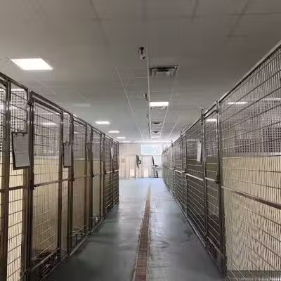 Indian River Pet Resort - Indian River, MI