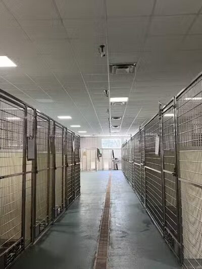 Indian River Pet Resort - Indian River, MI