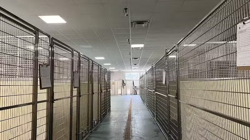 Indian River Pet Resort - Indian River, MI