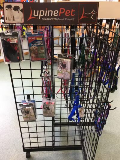 Indian River Pet Resort - Indian River, MI