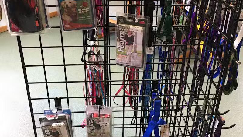 Indian River Pet Resort - Indian River, MI