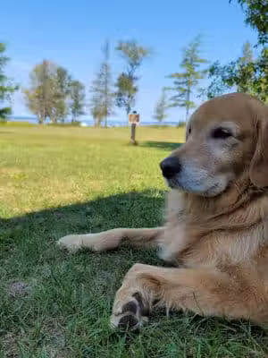 Burt Lake State Park - Indian River,