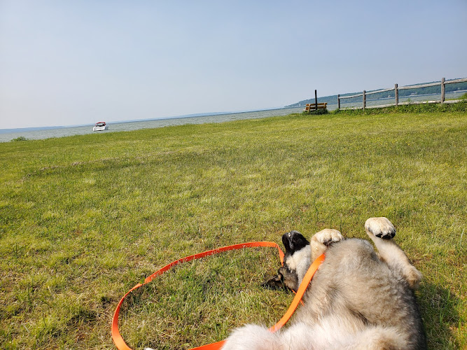 Burt Lake State Park Boat Launch Ramp - Indian River,