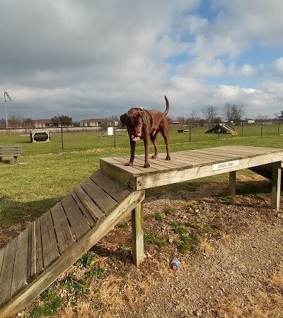 Dog Park - Indianapolis, IN