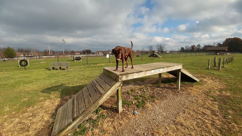 Dog Park - Indianapolis, IN