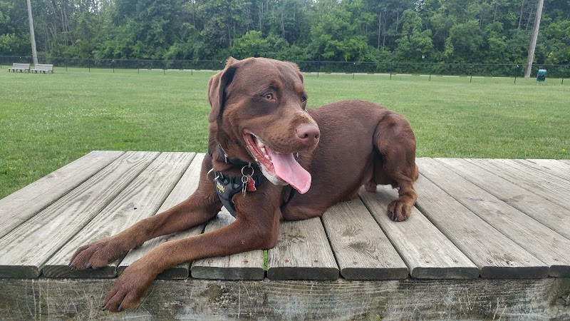 Dog Park - Indianapolis, IN