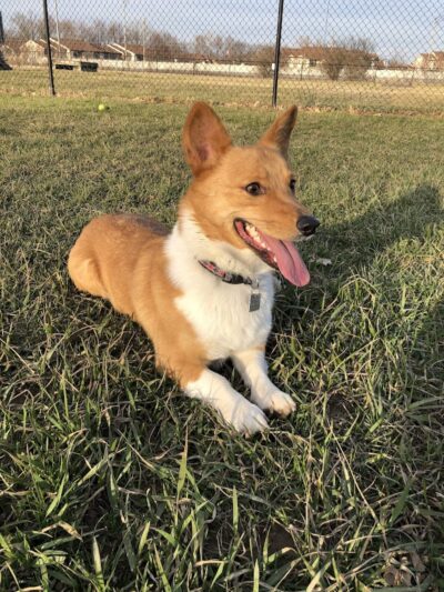 Gordon Gilmer Park (membership only) - Indianapolis, IN