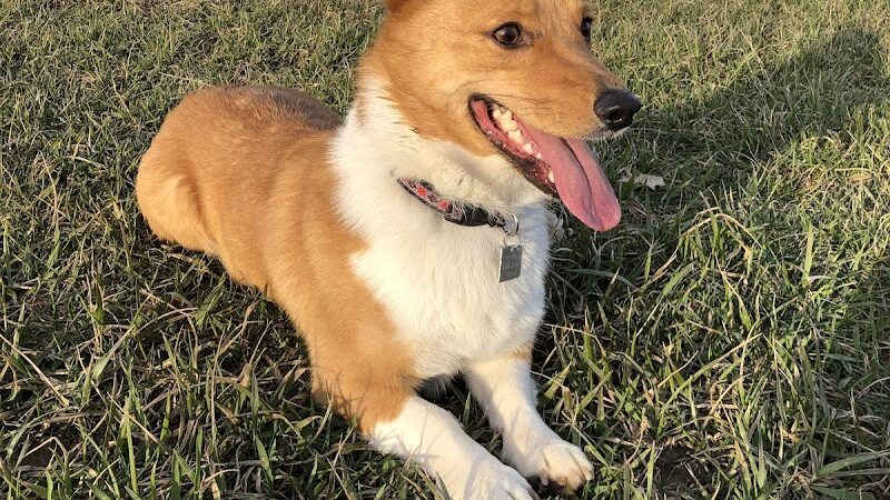 Gordon Gilmer Park (membership only) - Indianapolis, IN