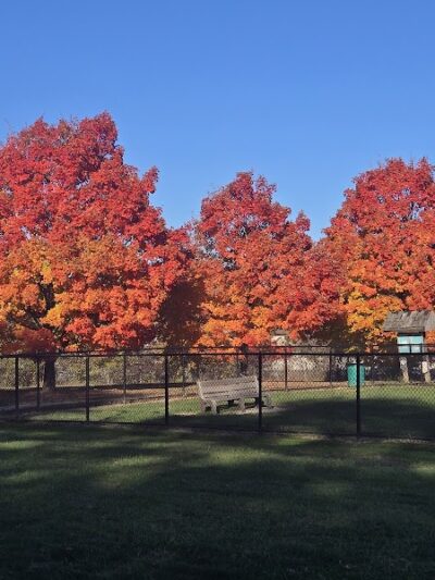 Gordon Gilmer Park (membership only) - Indianapolis, IN